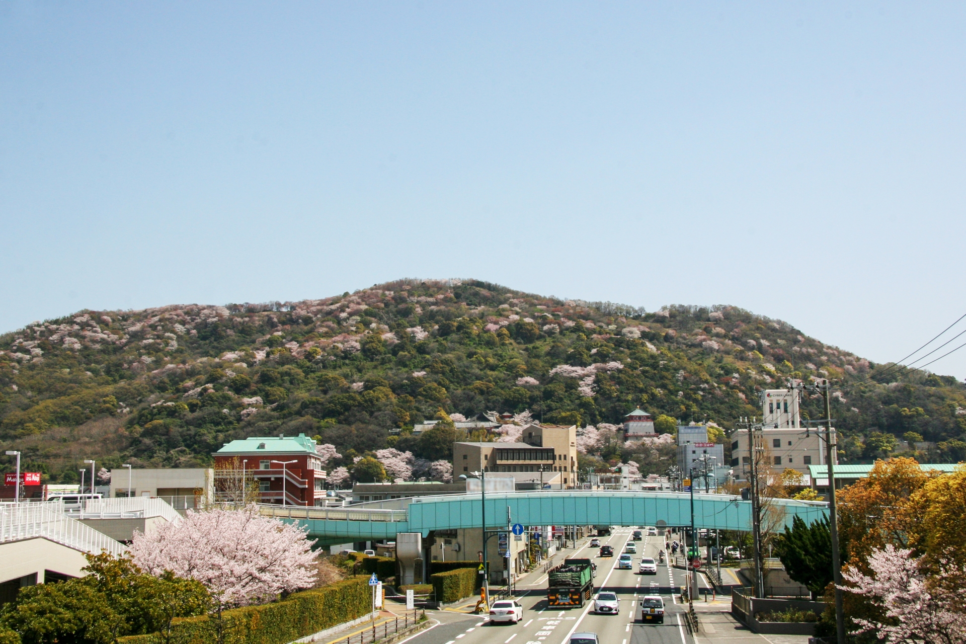 和歌山県の住みやすい街7選！海と山に囲まれた快適なエリア